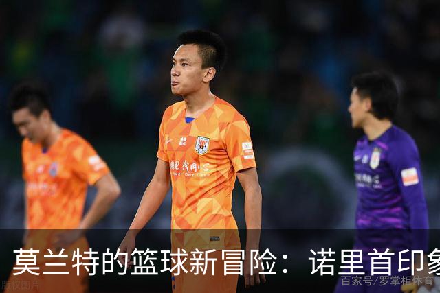 莫兰特的篮球新冒险：诺里首印象如春风拂面